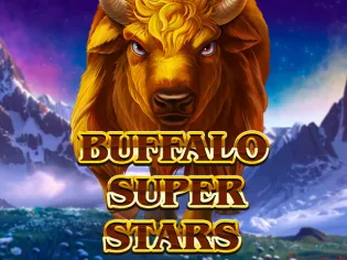 Buffalo Super Stars game cover