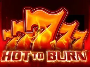 Hot to burn game cover