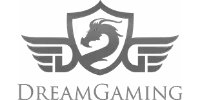 Premium Slots partner logo