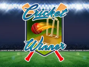 Cricket Winner game cover